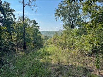 98440 U S 59, Sallisaw, OK 74955 - photo 4