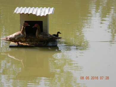 225 Temple Ford Rd, Shelbyville, TN 37160 - photo 4