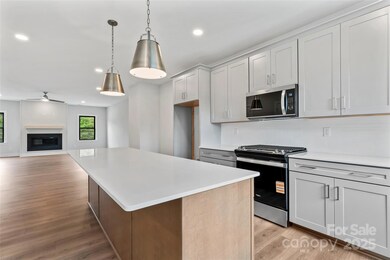 732 Falling Oak Aly unit 22, Huntersville, NC 28078 - photo 3