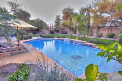 Backyard pool