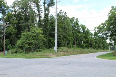 Corner Peacock Rd and Chadbourn Highway