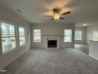 387 Bonsai Way, Four Oaks, NC 27524 - photo 4