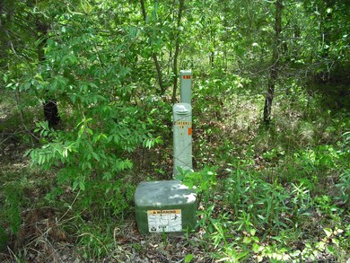 0 Riverview Ct (Lot #45) unit 1081359, Crossville, TN 38555 - photo 5