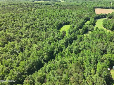DJI_20250521105312_0873_D.MP4_snapshot_0