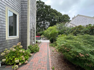 IMG_6094