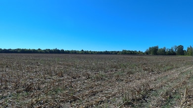 0 Teal Ln unit 10183549, Savannah, TN 38372 - photo 6