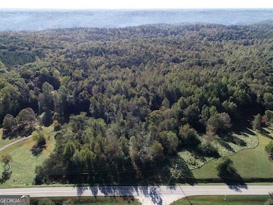 0 Webster Lake Rd unit 10656896, Cleveland, GA 30528 - photo 6