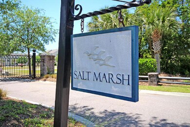 Salt Marsh Entrance
