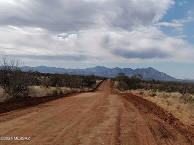 Big Run_land for sale 11