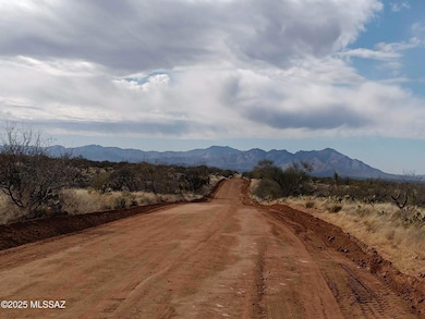 Big Run_land for sale 11