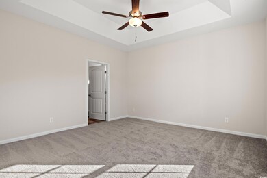 Spare room featuring carpet, a tray ceiling, and c
