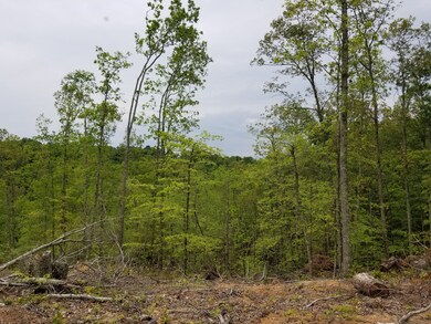 0 Hurricane Creek Rd unit 2153987, Linden, TN 37096 - photo 4