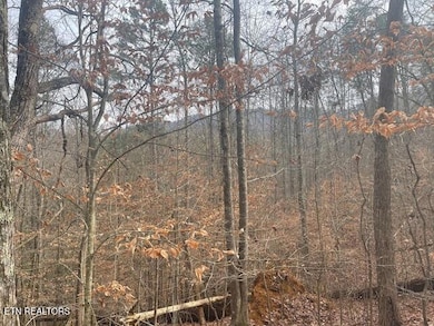 image6