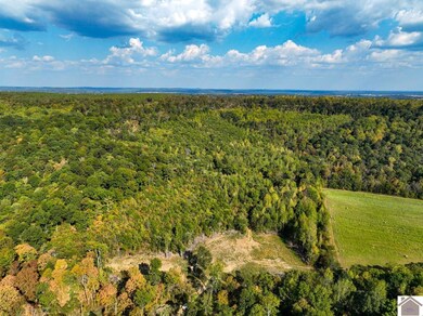 000 Cedar Grove Rd unit (Livingston Co. KY 9, Salem, KY 42078 - photo 5