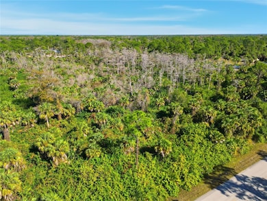 XXX 18th Ave NE, Rural Estates, FL 34120 - photo 6