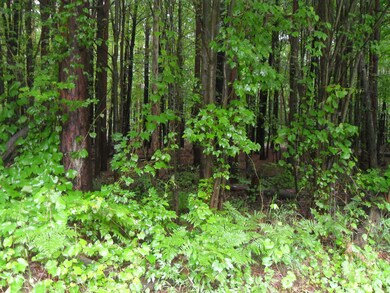 vacant land 152nd 003