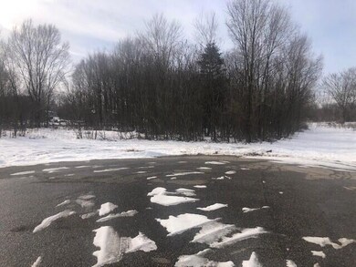 4568 Lake Pines Ln, Berrien Springs, MI 49103 - photo 3