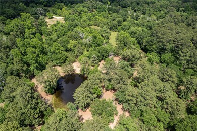 1043 Fm 1486 Rd, Magnolia, TX 77354 - photo 3