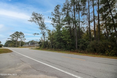 861 Roberts Rd, Newport, NC 28570 - photo 6