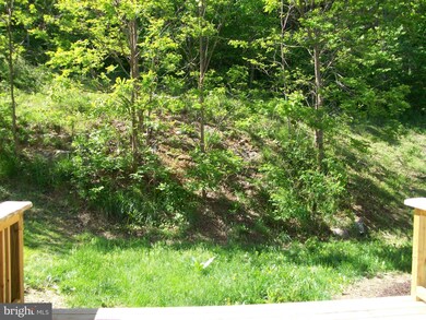 502 Hupps Hill Ct, Strasburg, VA 22657 - photo 4