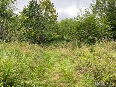 1 Hinkley Rd, Toledo, WA 98591 - photo 2