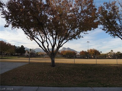 LOCAL PARK, PART OF SUMMERLIN COMMUNITY.