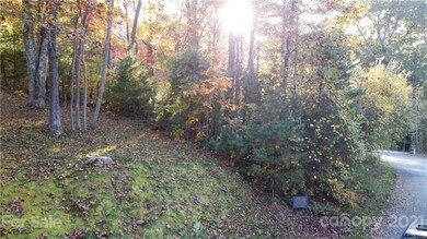 12 Forest Spring Dr unit 36, Asheville, NC 28804 - photo 2