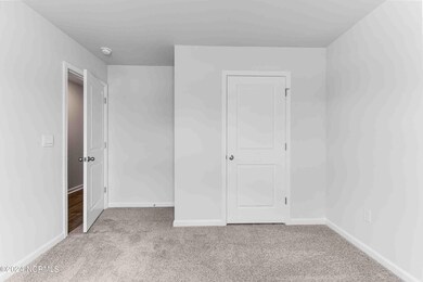 1546 Harpie Eagle Ln unit Lot 378, Bolivia, NC 28422 - photo 4