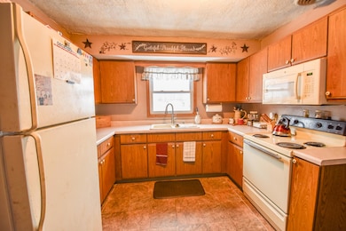 514 N Union City Rd, Coldwater, MI 49036 - photo 5