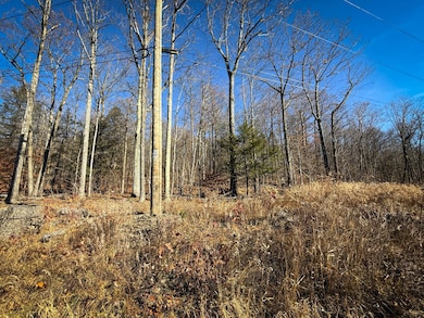 WP-02 Langford Creek Rd, van Etten, NY 14889 - photo 5