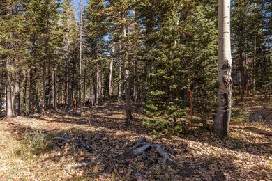 214 East Deer Trail C147 Brain Head UT 8