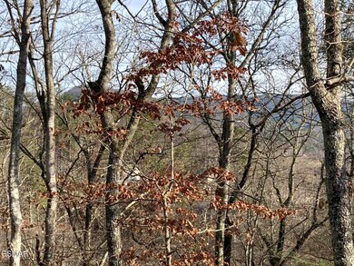 Lot 51 Red Cedar Ln, Sevierville, TN 37876 - photo 5