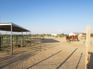 5_Horse Shade Cover