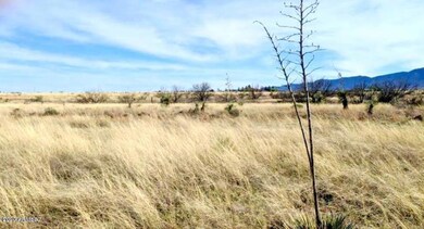 1.66 ACRES on Euclid ST (5)