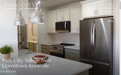 2724 E Magnolia Ave unit 406, Knoxville, TN 37914 - photo 4