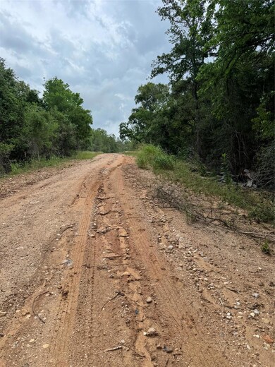 Lot 1035 Kawanui Dr, Bastrop, TX 78602 - photo 4