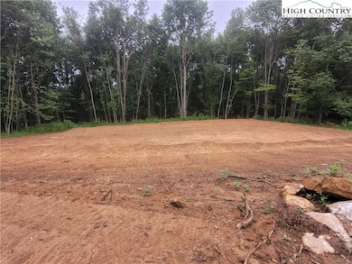 Lot 26 Fox Run Ln unit 26, Sparta, NC 28675 - photo 4