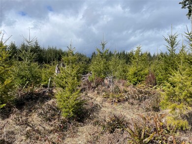 0 NA Hooper Rd, Longview, WA 98632 - photo 2