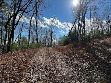 TBD2 Scout Rd, Lenoir, NC 28645 - photo 2
