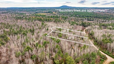 M10L29A4&5 Miller Ln, Surry, ME 04684 - photo 5