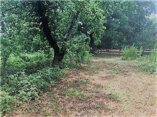 27541 Carraway Ln, Magnolia, TX 77354 - photo 7