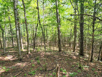 0 Helenwood Loop Rd unit 11545855, Helenwood, TN 37755 - photo 3