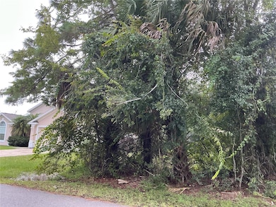 39 Whittington Dr, Palm Coast, FL 32164 - photo 2