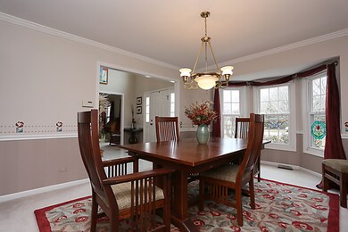 10517 S Red Stable Way, Naperville, IL 60564 - photo 3