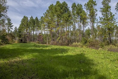 00 Oak Grove Church Rd, Asheboro, NC 27205 - photo 2