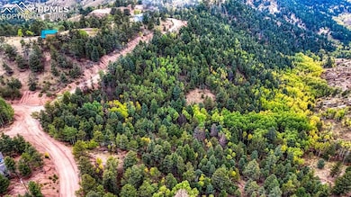 599 Dandy Jim Dr, Cripple Creek, CO 80813 - photo 7