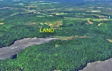 land-aerial-woodlot-me