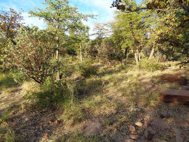 12 Hoot Owl Trail, Payson, AZ 85541 - photo 6