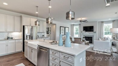 *REPRESENTATIVE PHOTO