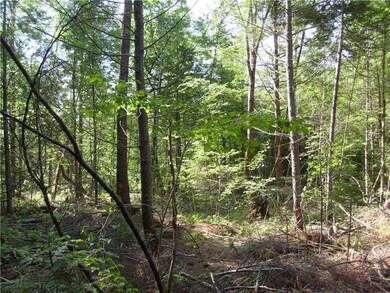 00 Morrill Rd, Cornish, ME 04020 - photo 2